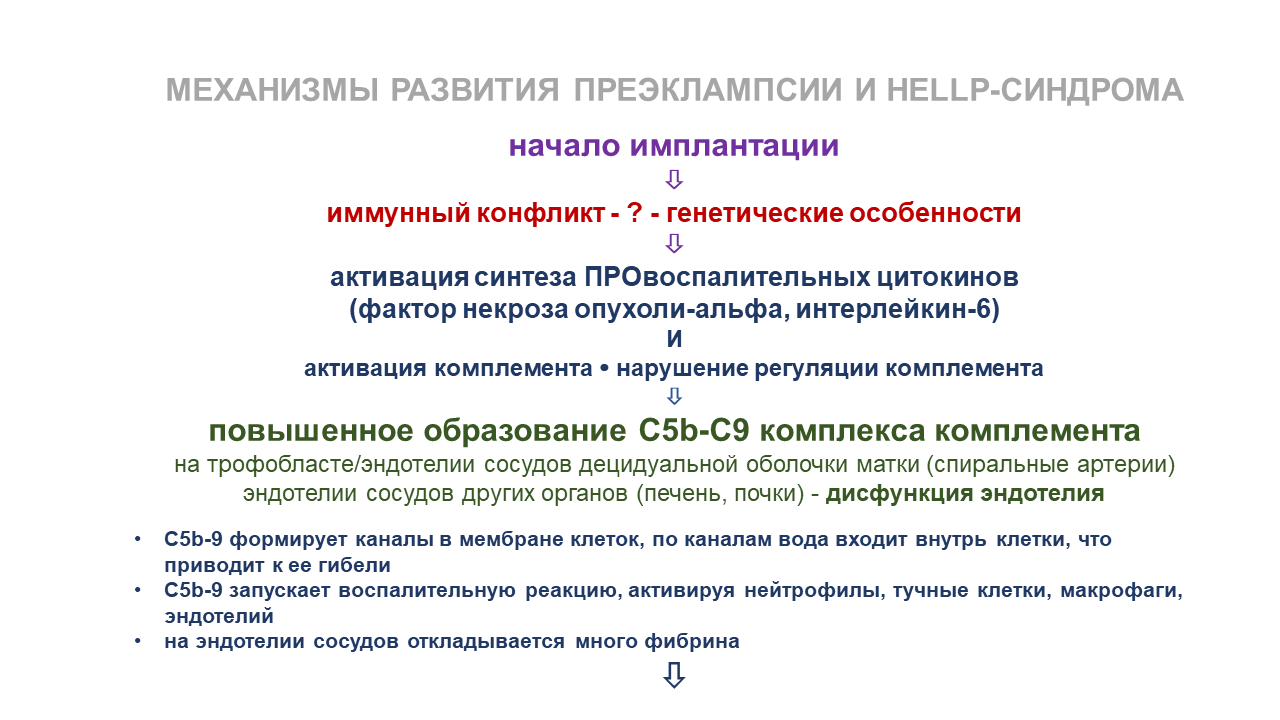 Чувашский государственный университет • кафедра акушерства и ...